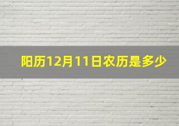 阳历12月11日农历是多少