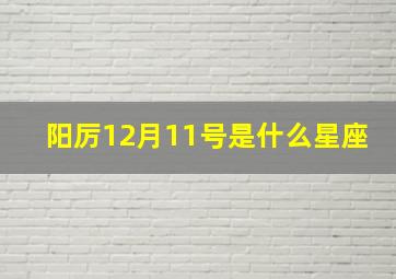 阳厉12月11号是什么星座