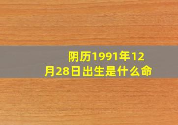 阴历1991年12月28日出生是什么命