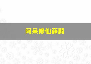 阿呆修仙薛鹏