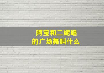 阿宝和二妮唱的广场舞叫什么