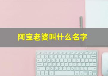 阿宝老婆叫什么名字