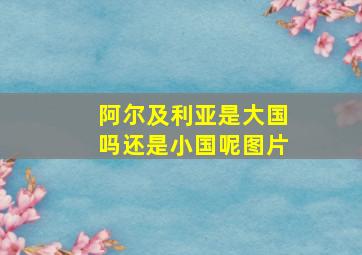 阿尔及利亚是大国吗还是小国呢图片