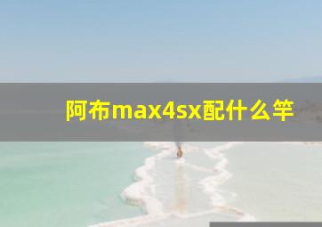 阿布max4sx配什么竿