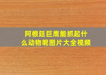 阿根廷巨鹰能抓起什么动物呢图片大全视频