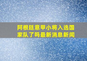 阿根廷意甲小将入选国家队了吗最新消息新闻