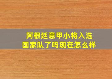 阿根廷意甲小将入选国家队了吗现在怎么样