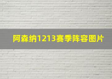 阿森纳1213赛季阵容图片