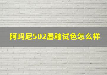 阿玛尼502唇釉试色怎么样