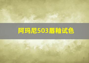 阿玛尼503唇釉试色