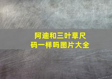 阿迪和三叶草尺码一样吗图片大全