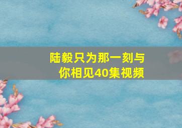 陆毅只为那一刻与你相见40集视频