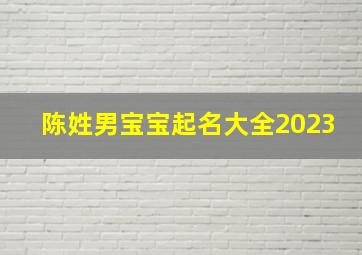 陈姓男宝宝起名大全2023