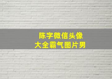 陈字微信头像大全霸气图片男