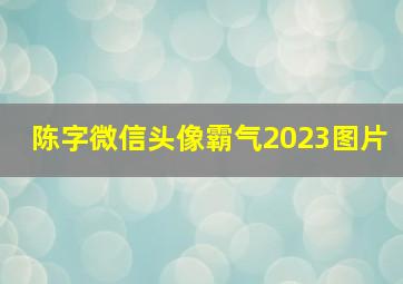 陈字微信头像霸气2023图片