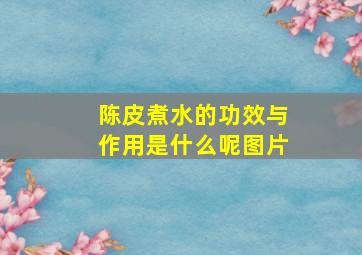 陈皮煮水的功效与作用是什么呢图片