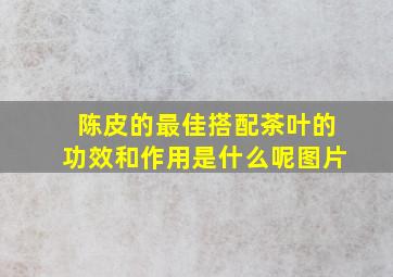 陈皮的最佳搭配茶叶的功效和作用是什么呢图片