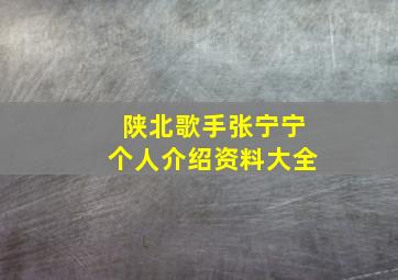 陕北歌手张宁宁个人介绍资料大全