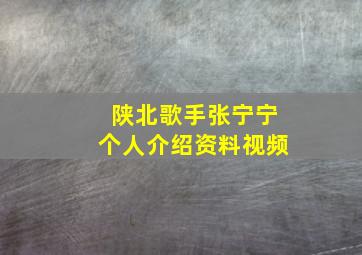 陕北歌手张宁宁个人介绍资料视频