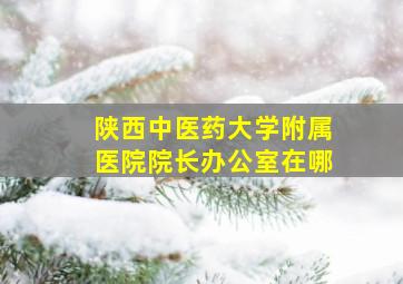 陕西中医药大学附属医院院长办公室在哪