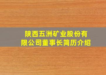 陕西五洲矿业股份有限公司董事长简历介绍