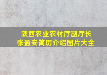 陕西农业农村厅副厅长张盈安简历介绍图片大全