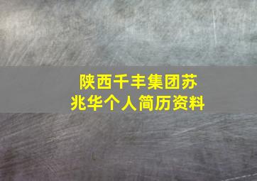 陕西千丰集团苏兆华个人简历资料