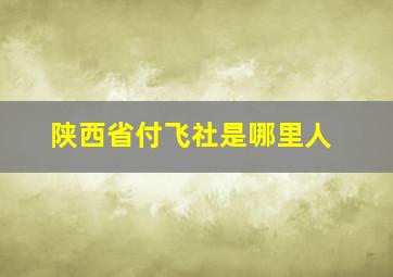 陕西省付飞社是哪里人