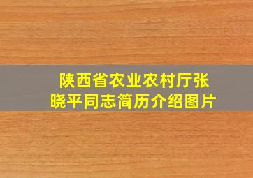 陕西省农业农村厅张晓平同志简历介绍图片