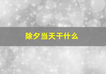 除夕当天干什么