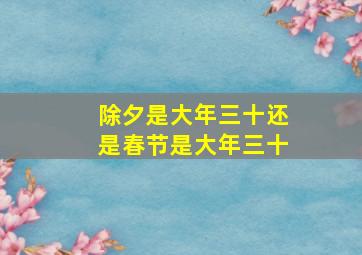 除夕是大年三十还是春节是大年三十