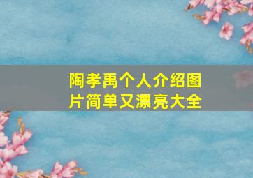 陶孝禹个人介绍图片简单又漂亮大全