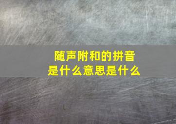 随声附和的拼音是什么意思是什么