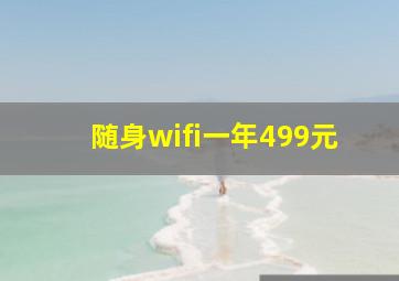 随身wifi一年499元