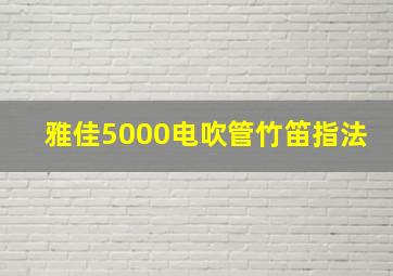 雅佳5000电吹管竹笛指法