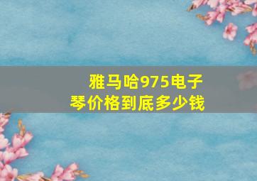 雅马哈975电子琴价格到底多少钱