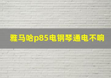 雅马哈p85电钢琴通电不响