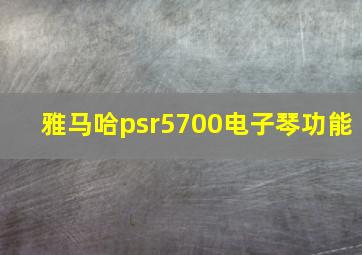 雅马哈psr5700电子琴功能