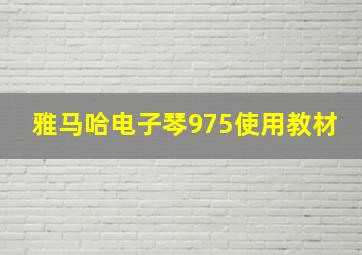 雅马哈电子琴975使用教材