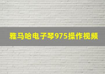 雅马哈电子琴975操作视频