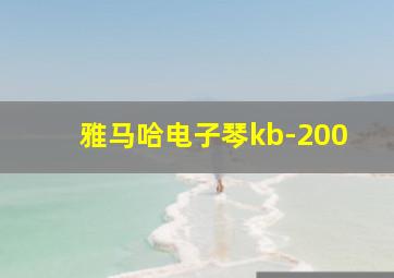 雅马哈电子琴kb-200