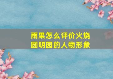 雨果怎么评价火烧圆明园的人物形象