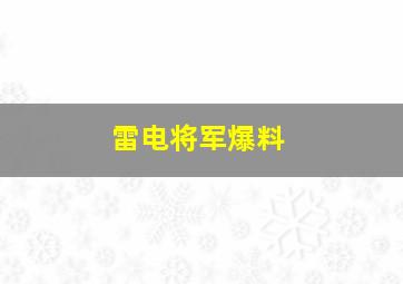 雷电将军爆料