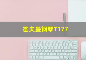 霍夫曼钢琴T177