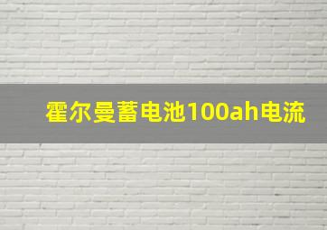 霍尔曼蓄电池100ah电流