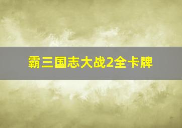 霸三国志大战2全卡牌