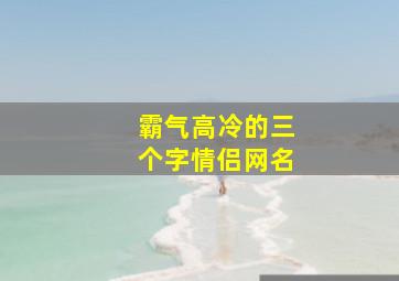 霸气高冷的三个字情侣网名