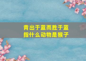 青出于蓝而胜于蓝指什么动物是猴子