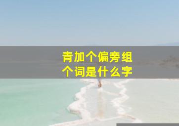 青加个偏旁组个词是什么字