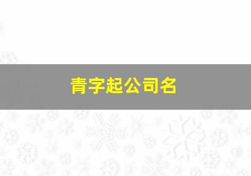 青字起公司名